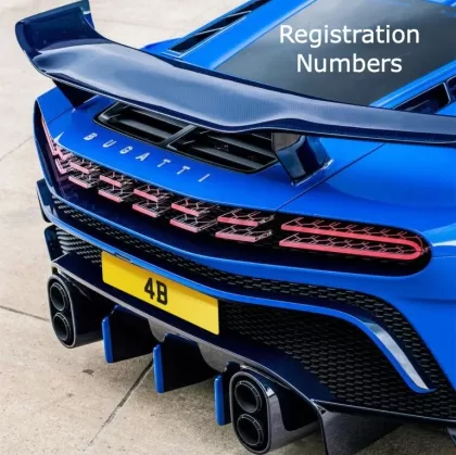 Registration Numbers